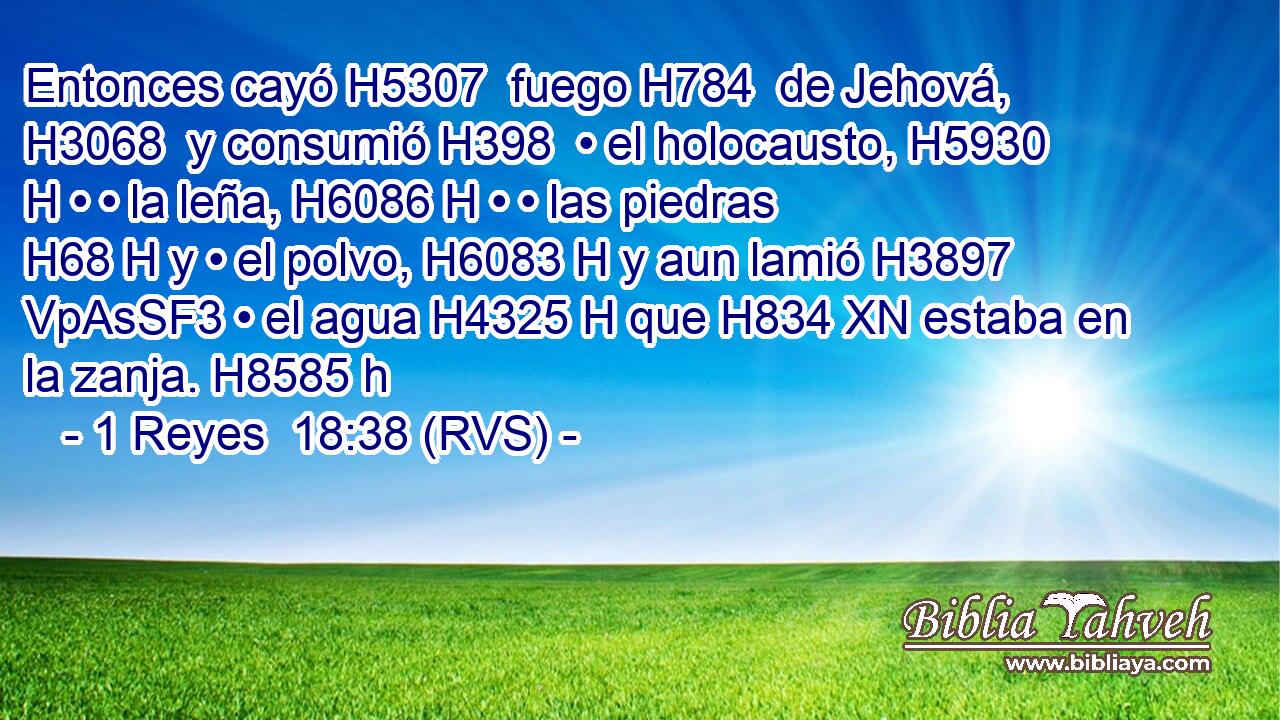 Entonces cayó H5307  fuego H784  de Jehová, H3068  y consumió H398  • el holocausto, H5930 H • • la leña, H6086 H • • las piedras H68 H y • el polvo, H6083 H y aun lamió H3897 VpAsSF3 • el agua H4325 H que H834 XN estaba en la zanja. H8585 h 