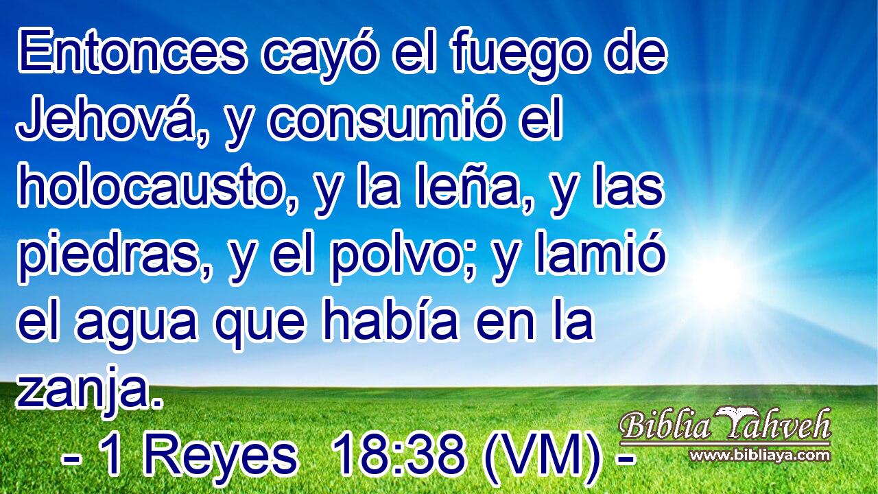  Entonces cayó el fuego de Jehová, y consumió el holocausto, y la leña, y las piedras, y el polvo; y lamió el agua que había en la zanja. 