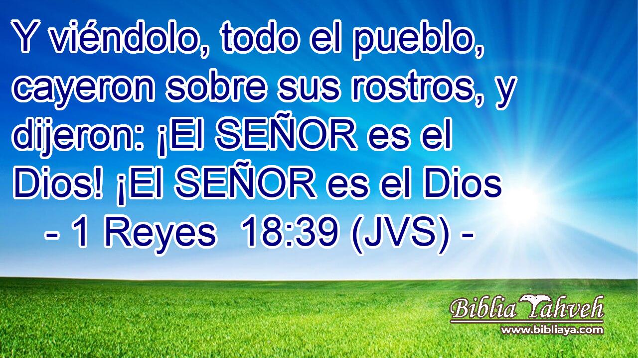 Y viéndolo, todo el pueblo, cayeron sobre sus rostros, y dijeron: ¡El SEÑOR es el Dios! ¡El SEÑOR es el Dios