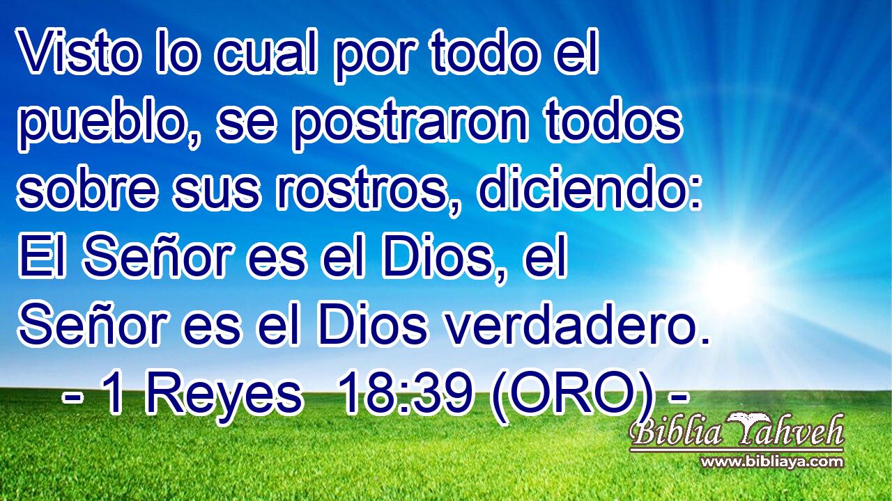  Visto lo cual por todo el pueblo, se postraron todos sobre sus rostros, diciendo: El Señor es el Dios, el Señor es el Dios verdadero. 