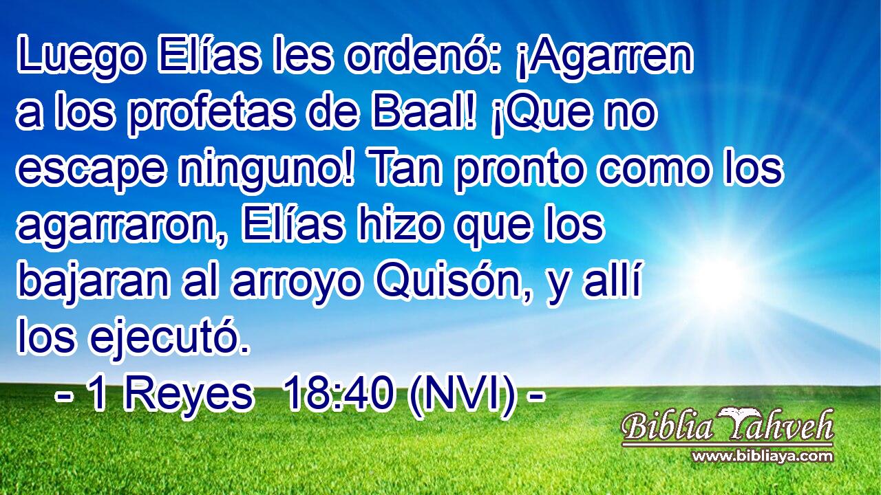 Luego Elías les ordenó: ¡Agarren a los profetas de Baal! ¡Que no escape ninguno! Tan pronto como los agarraron, Elías hizo que los bajaran al arroyo Quisón, y allí los ejecutó. 