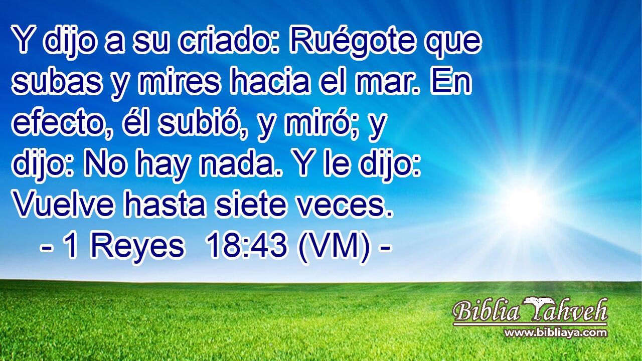  Y dijo a su criado: Ruégote que subas y mires hacia el mar. En efecto, él subió, y miró; y dijo: No hay nada. Y le dijo: Vuelve hasta siete veces. 