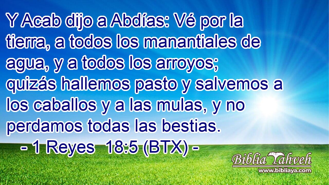 Y Acab dijo a Abdías: Vé por la tierra, a todos los manantiales de agua, y a todos los arroyos; quizás hallemos pasto y salvemos a los caballos y a las mulas, y no perdamos todas las bestias.