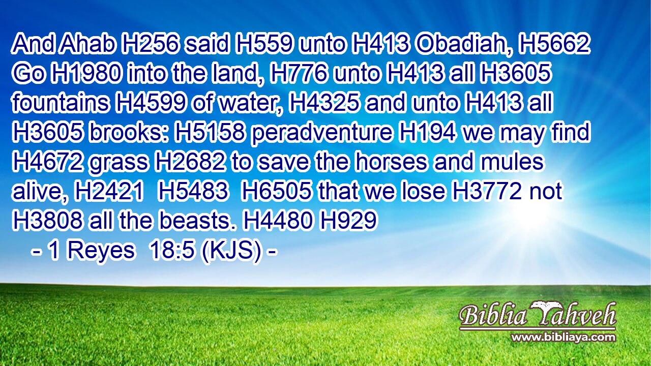 And Ahab H256 said H559 unto H413 Obadiah, H5662 Go H1980 into the land, H776 unto H413 all H3605 fountains H4599 of water, H4325 and unto H413 all H3605 brooks: H5158 peradventure H194 we may find H4672 grass H2682 to save the horses and mules alive, H2421  H5483  H6505 that we lose H3772 not H3808 all the beasts. H4480 H929