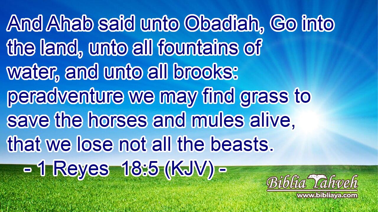 And Ahab said unto Obadiah, Go into the land, unto all fountains of water, and unto all brooks: peradventure we may find grass to save the horses and mules alive, that we lose not all the beasts.