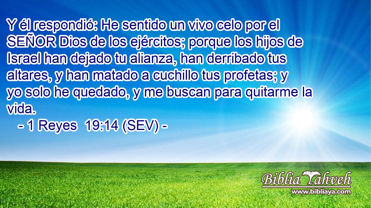 Y él respondió: He sentido un vivo celo por el SEÑOR Dios de los ejércitos; porque los hijos de Israel han dejado tu alianza, han derribado tus altares, y han matado a cuchillo tus profetas; y yo solo he quedado, y me buscan para quitarme la vida.