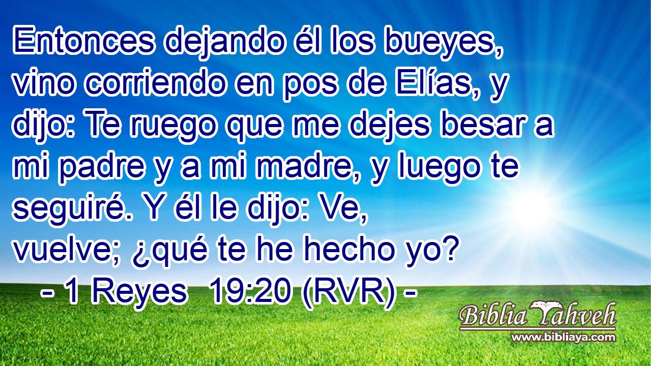 Entonces dejando él los bueyes, vino corriendo en pos de Elías, y dijo: Te ruego que me dejes besar a mi padre y a mi madre, y luego te seguiré. Y él le dijo: Ve, vuelve; ¿qué te he hecho yo?