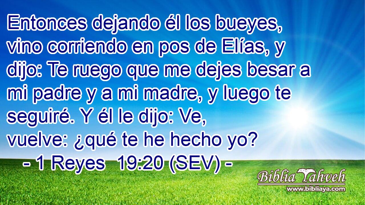 Entonces dejando él los bueyes, vino corriendo en pos de Elías, y dijo: Te ruego que me dejes besar a mi padre y a mi madre, y luego te seguiré. Y él le dijo: Ve, vuelve: ¿qué te he hecho yo?