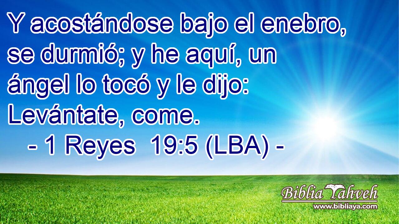 Y acostándose bajo el enebro, se durmió; y he aquí, un ángel lo tocó y le dijo: Levántate, come.