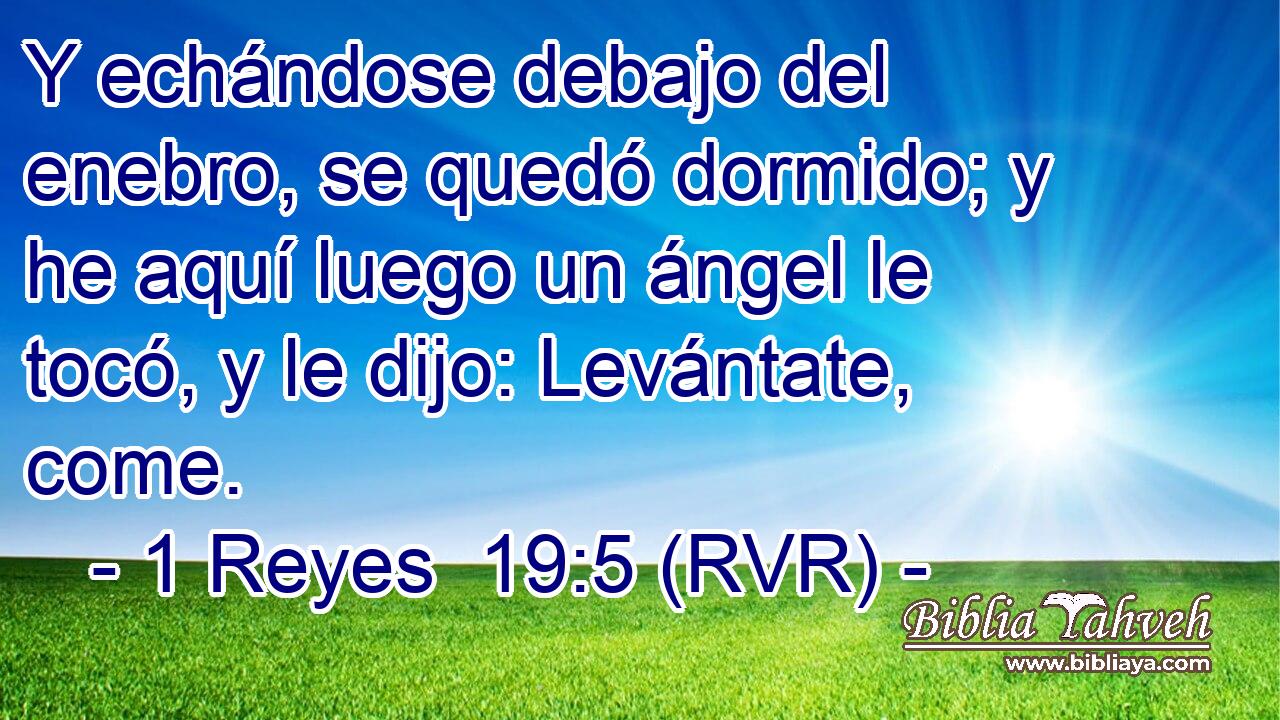 Y echándose debajo del enebro, se quedó dormido; y he aquí luego un ángel le tocó, y le dijo: Levántate, come.