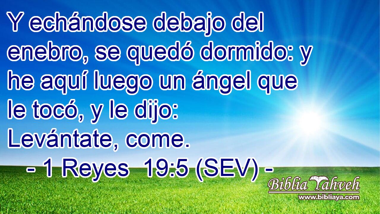 Y echándose debajo del enebro, se quedó dormido: y he aquí luego un ángel que le tocó, y le dijo: Levántate, come.