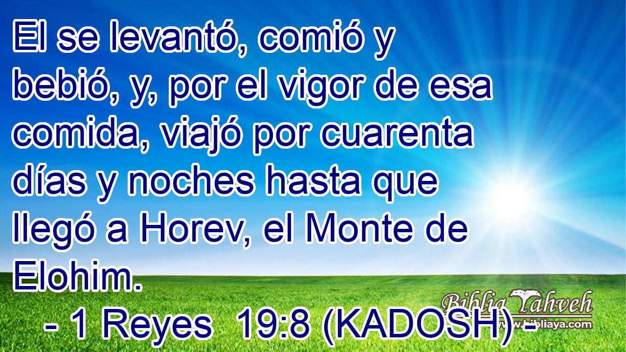  El se levantó, comió y bebió, y, por el vigor de esa comida, viajó por cuarenta días y noches hasta que llegó a Horev, el Monte de Elohim. 