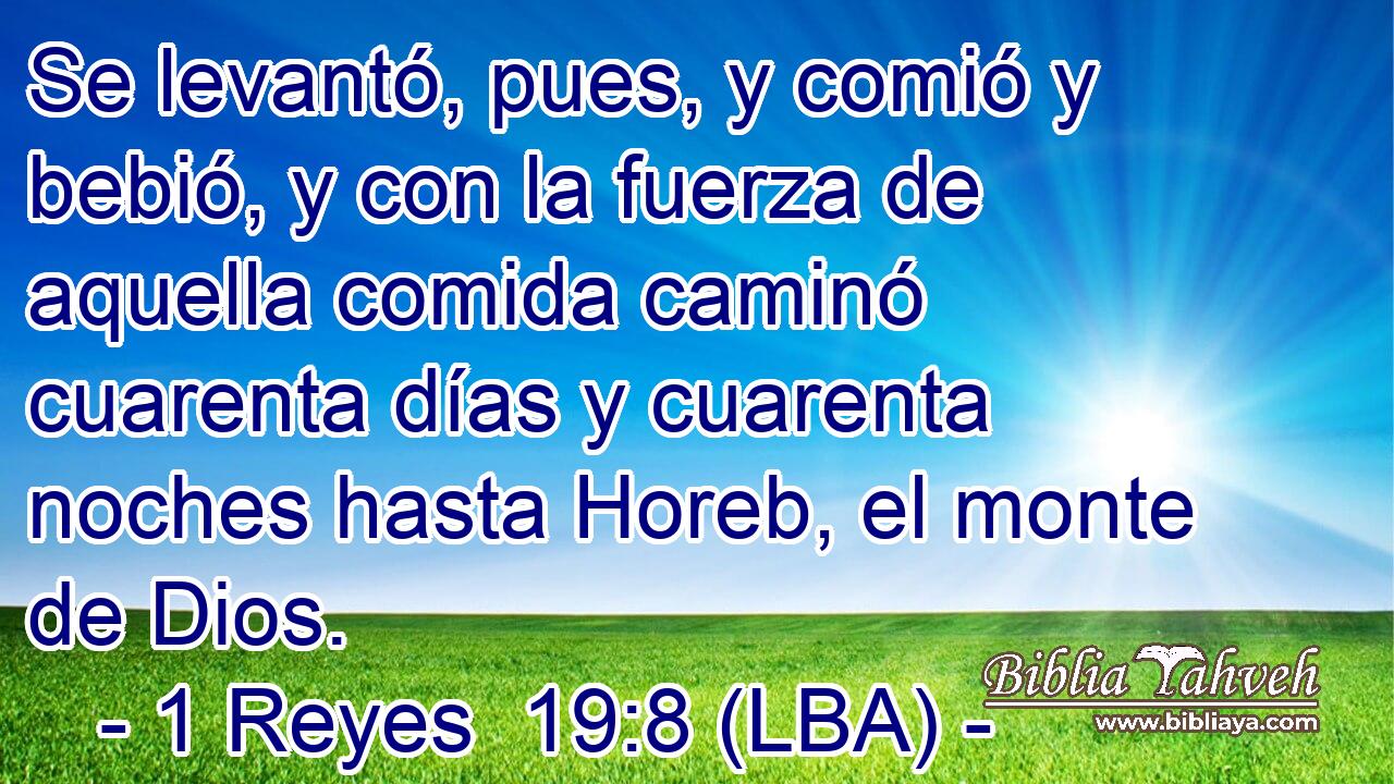 Se levantó, pues, y comió y bebió, y con la fuerza de aquella comida caminó cuarenta días y cuarenta noches hasta Horeb, el monte de Dios.