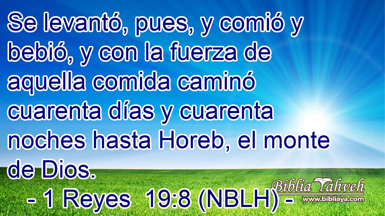  Se levantó, pues, y comió y bebió, y con la fuerza de aquella comida caminó cuarenta días y cuarenta noches hasta Horeb, el monte de Dios. 