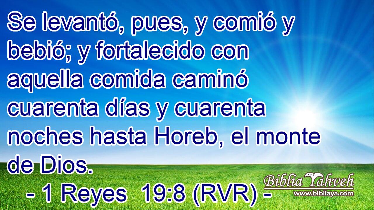 Se levantó, pues, y comió y bebió; y fortalecido con aquella comida caminó cuarenta días y cuarenta noches hasta Horeb, el monte de Dios.