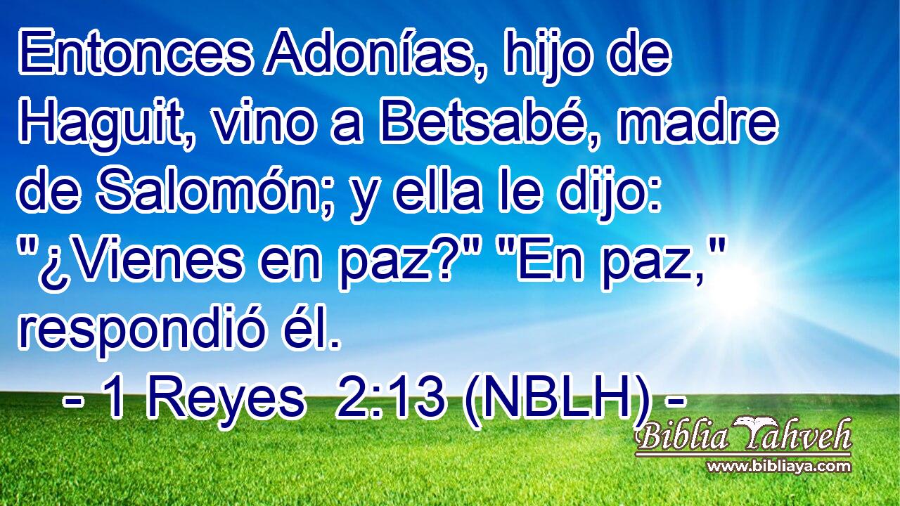  Entonces Adonías, hijo de Haguit, vino a Betsabé, madre de Salomón; y ella le dijo: 