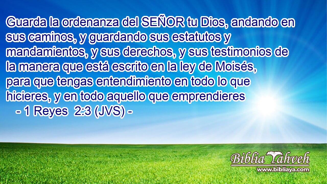 Guarda la ordenanza del SEÑOR tu Dios, andando en sus caminos, y guardando sus estatutos y mandamientos, y sus derechos, y sus testimonios de la manera que está escrito en la ley de Moisés, para que tengas entendimiento en todo lo que hicieres, y en todo aquello que emprendieres