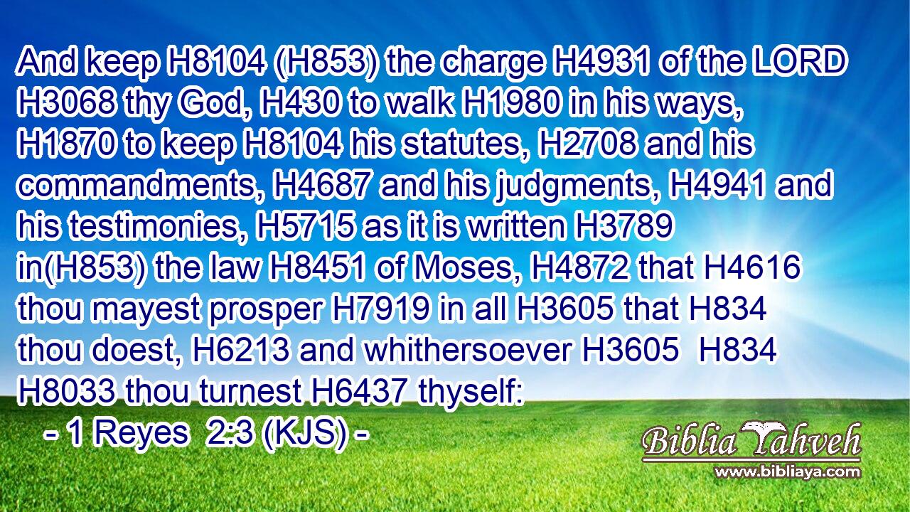 And keep H8104 (H853) the charge H4931 of the LORD H3068 thy God, H430 to walk H1980 in his ways, H1870 to keep H8104 his statutes, H2708 and his commandments, H4687 and his judgments, H4941 and his testimonies, H5715 as it is written H3789 in(H853) the law H8451 of Moses, H4872 that H4616 thou mayest prosper H7919 in all H3605 that H834 thou doest, H6213 and whithersoever H3605  H834  H8033 thou turnest H6437 thyself: