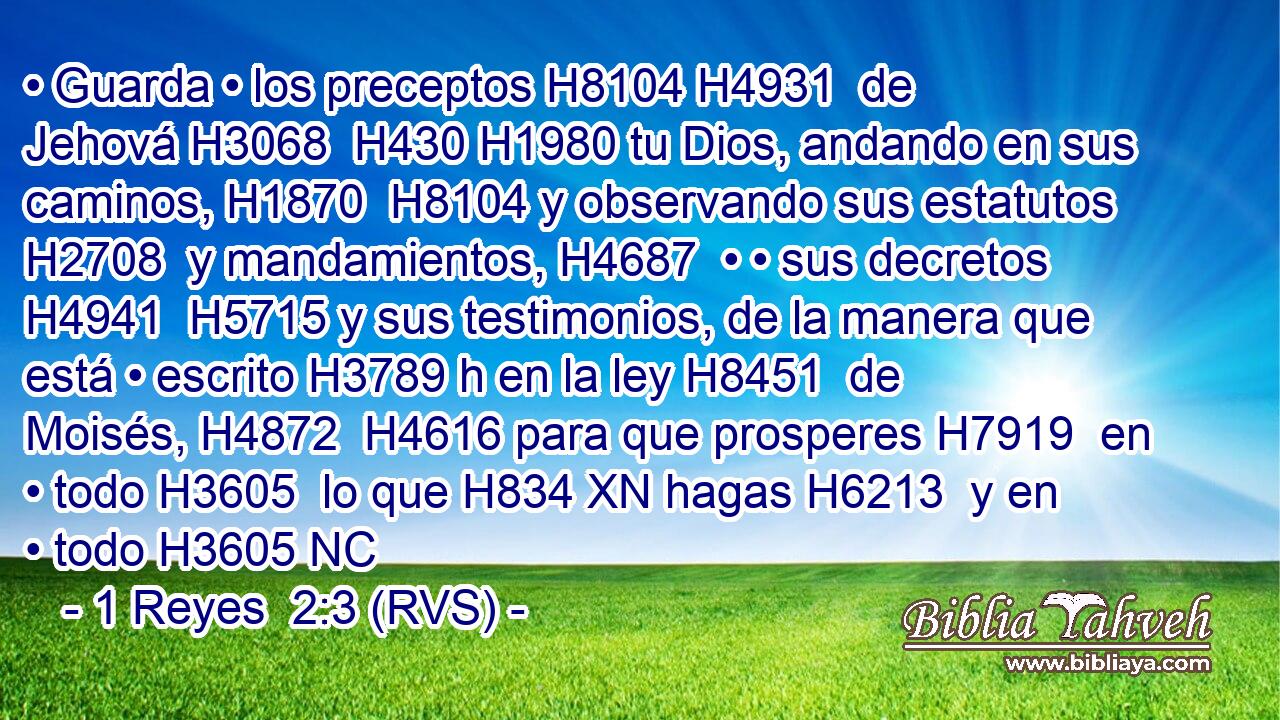 • Guarda • los preceptos H8104 H4931  de Jehová H3068  H430 H1980 tu Dios, andando en sus caminos, H1870  H8104 y observando sus estatutos H2708  y mandamientos, H4687  • • sus decretos H4941  H5715 y sus testimonios, de la manera que está • escrito H3789 h en la ley H8451  de Moisés, H4872  H4616 para que prosperes H7919  en • todo H3605  lo que H834 XN hagas H6213  y en • todo H3605 NC