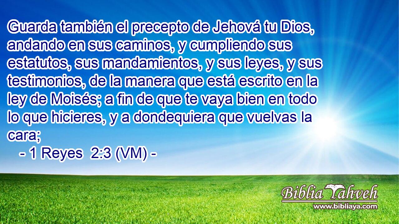  Guarda también el precepto de Jehová tu Dios, andando en sus caminos, y cumpliendo sus estatutos, sus mandamientos, y sus leyes, y sus testimonios, de la manera que está escrito en la ley de Moisés; a fin de que te vaya bien en todo lo que hicieres, y a dondequiera que vuelvas la cara; 