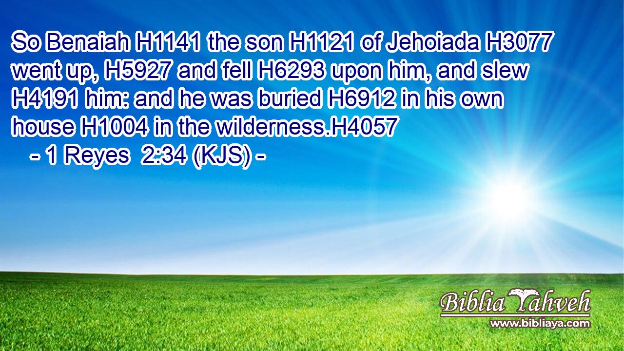 So Benaiah H1141 the son H1121 of Jehoiada H3077 went up, H5927 and fell H6293 upon him, and slew H4191 him: and he was buried H6912 in his own house H1004 in the wilderness.H4057