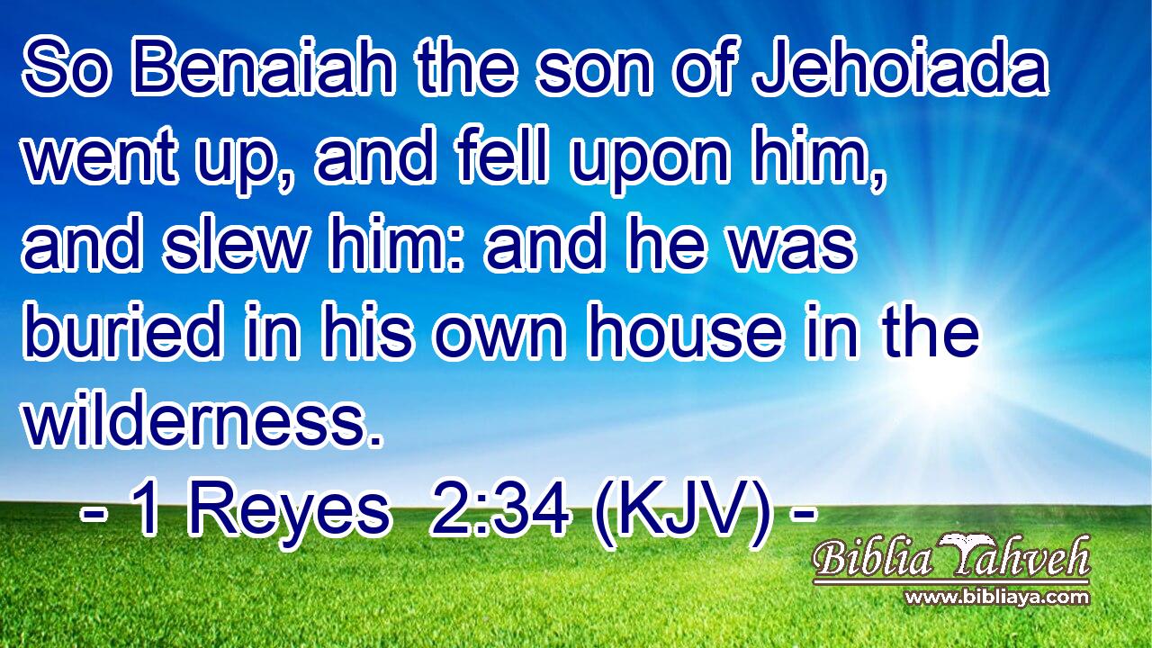 So Benaiah the son of Jehoiada went up, and fell upon him, and slew him: and he was buried in his own house in the wilderness.