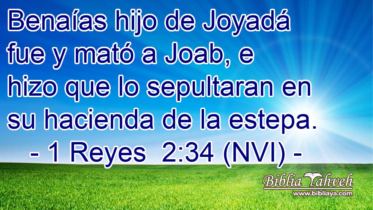  Benaías hijo de Joyadá fue y mató a Joab, e hizo que lo sepultaran en su hacienda de la estepa. 