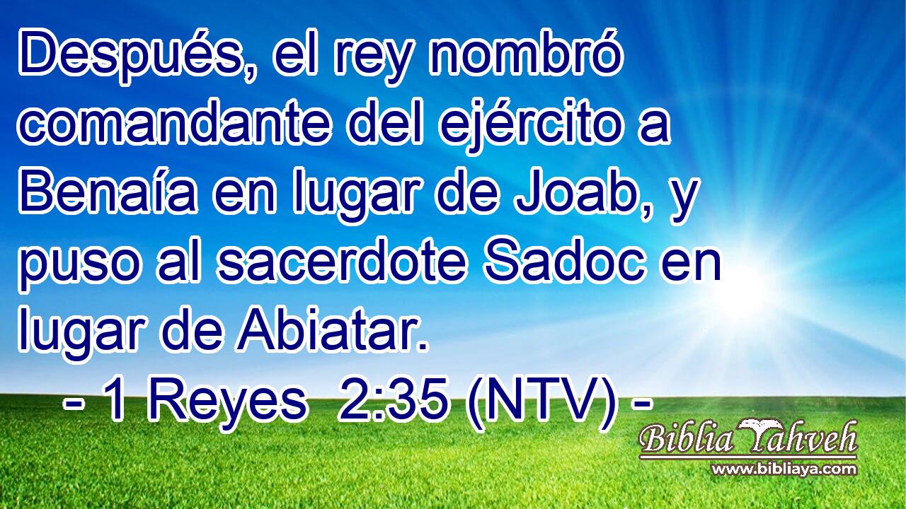 Después, el rey nombró comandante del ejército a Benaía en lugar de Joab, y puso al sacerdote Sadoc en lugar de Abiatar.
