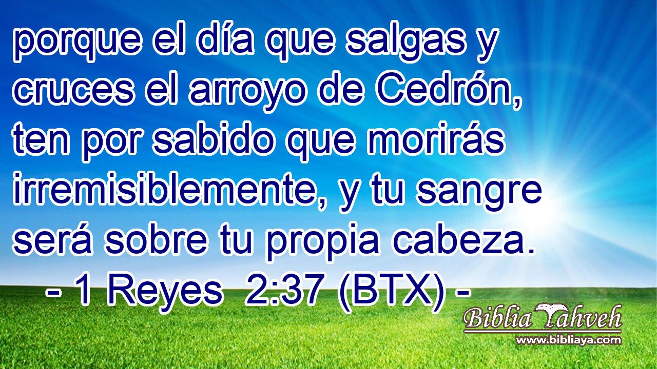 porque el día que salgas y cruces el arroyo de Cedrón, ten por sabido que morirás irremisiblemente, y tu sangre será sobre tu propia cabeza.
