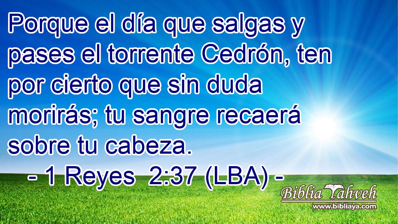 Porque el día que salgas y pases el torrente Cedrón, ten por cierto que sin duda morirás; tu sangre recaerá sobre tu cabeza.