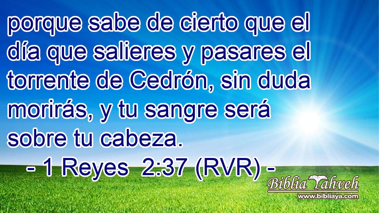 porque sabe de cierto que el día que salieres y pasares el torrente de Cedrón, sin duda morirás, y tu sangre será sobre tu cabeza.