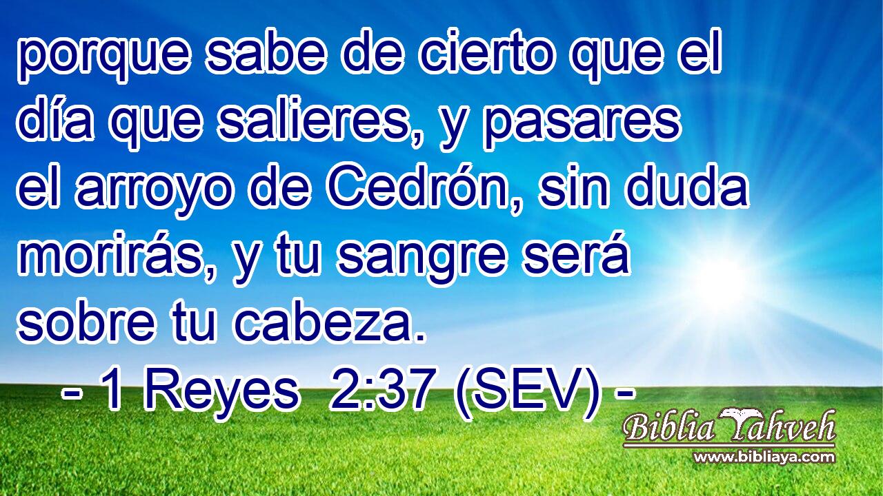 porque sabe de cierto que el día que salieres, y pasares el arroyo de Cedrón, sin duda morirás, y tu sangre será sobre tu cabeza.