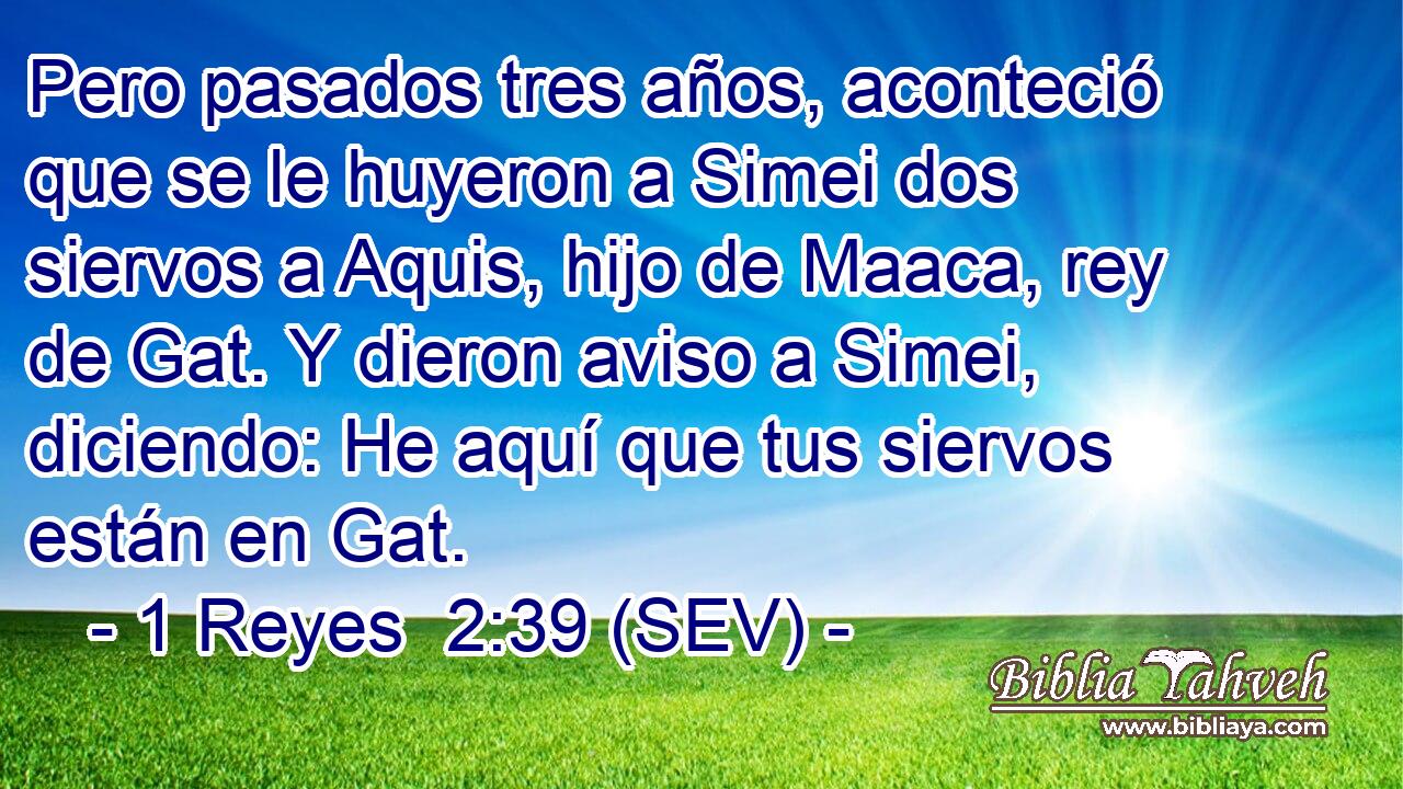 Pero pasados tres años, aconteció que se le huyeron a Simei dos siervos a Aquis, hijo de Maaca, rey de Gat. Y dieron aviso a Simei, diciendo: He aquí que tus siervos están en Gat.