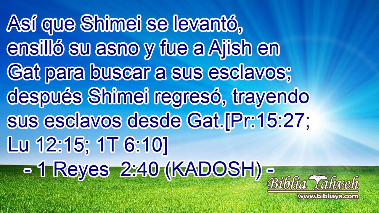  Así que Shimei se levantó, ensilló su asno y fue a Ajish en Gat para buscar a sus esclavos; después Shimei regresó, trayendo sus esclavos desde Gat.[Pr:15:27; Lu 12:15; 1T 6:10] 