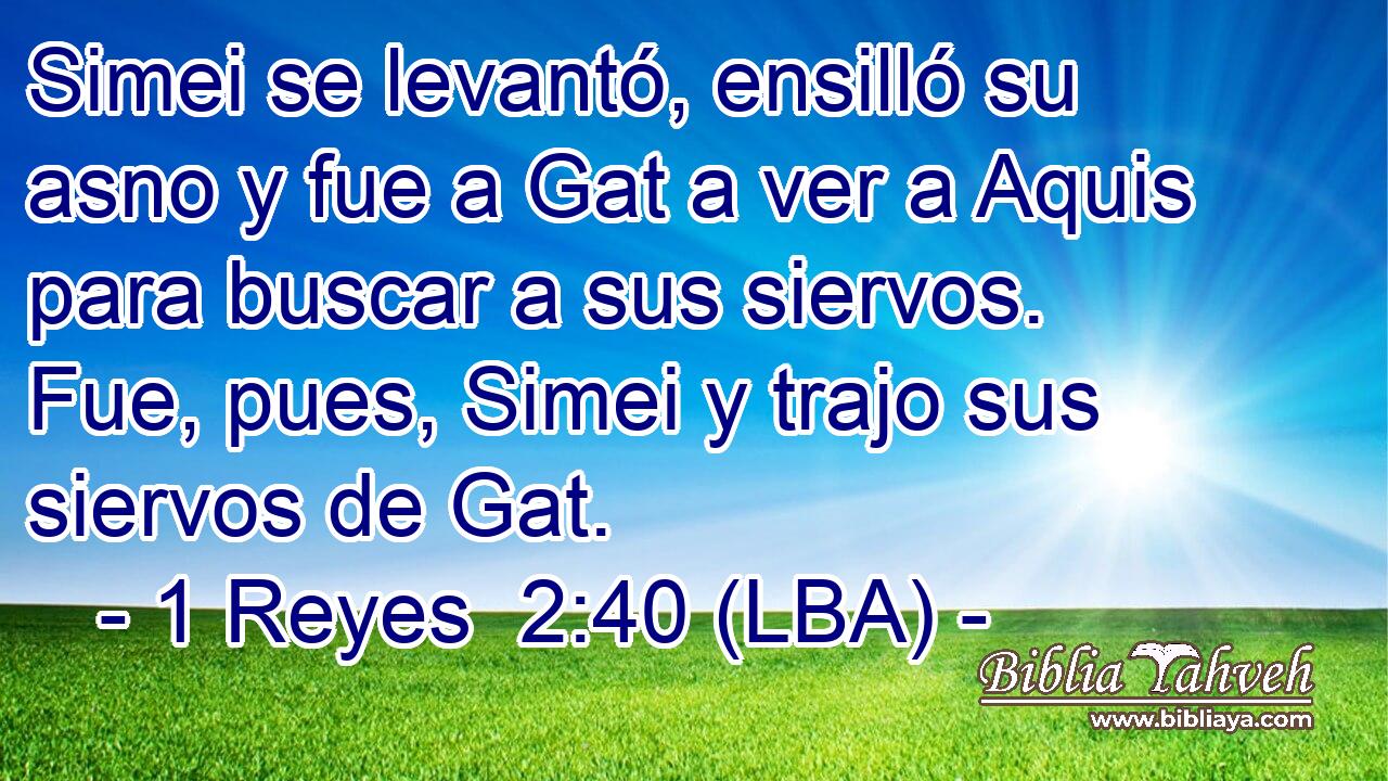 Simei se levantó, ensilló su asno y fue a Gat a ver a Aquis para buscar a sus siervos. Fue, pues, Simei y trajo sus siervos de Gat.