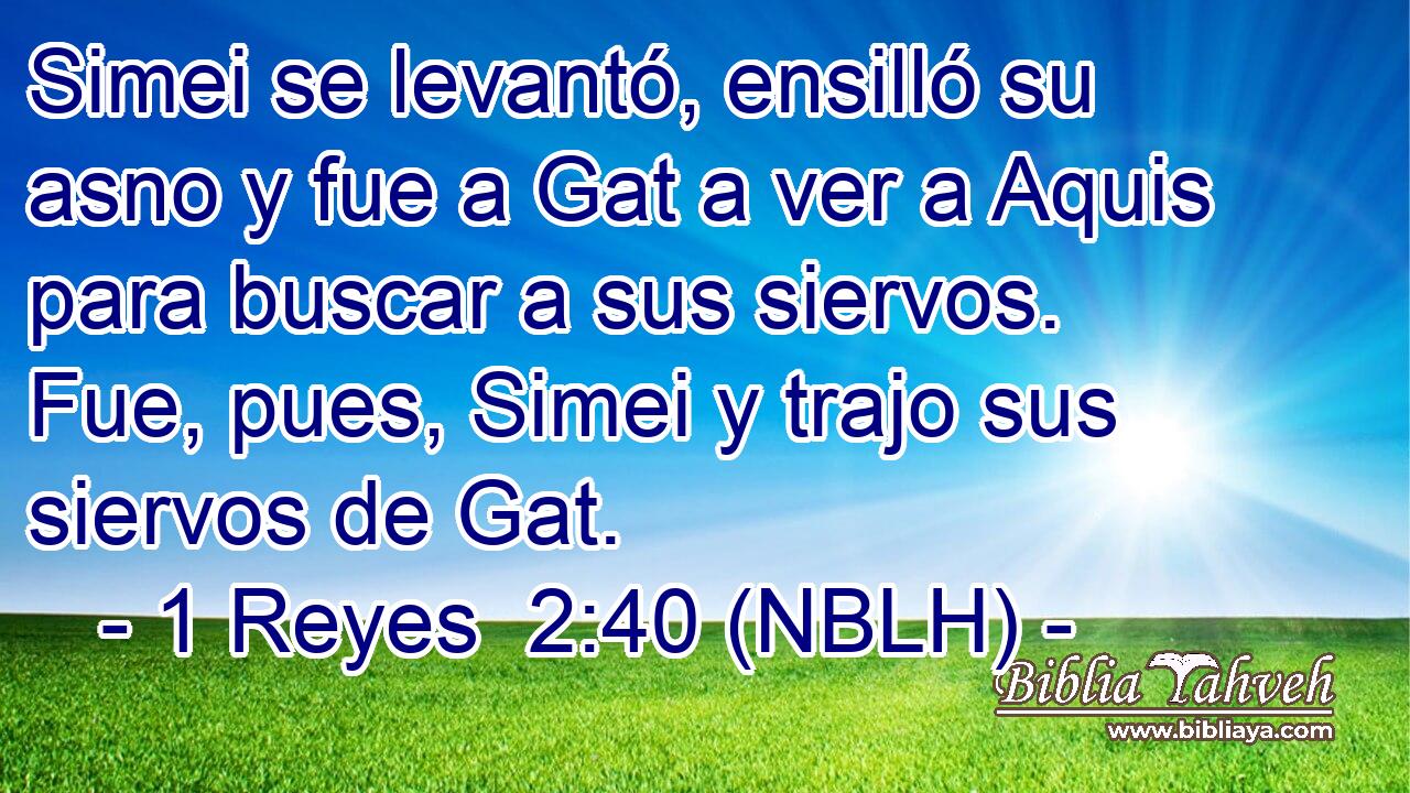  Simei se levantó, ensilló su asno y fue a Gat a ver a Aquis para buscar a sus siervos. Fue, pues, Simei y trajo sus siervos de Gat. 
