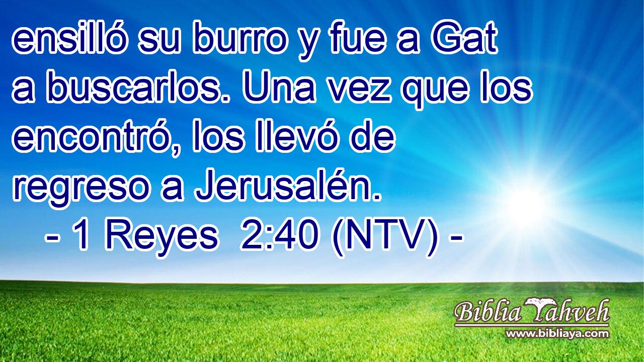 ensilló su burro y fue a Gat a buscarlos. Una vez que los encontró, los llevó de regreso a Jerusalén.