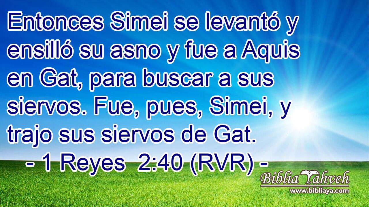 Entonces Simei se levantó y ensilló su asno y fue a Aquis en Gat, para buscar a sus siervos. Fue, pues, Simei, y trajo sus siervos de Gat.