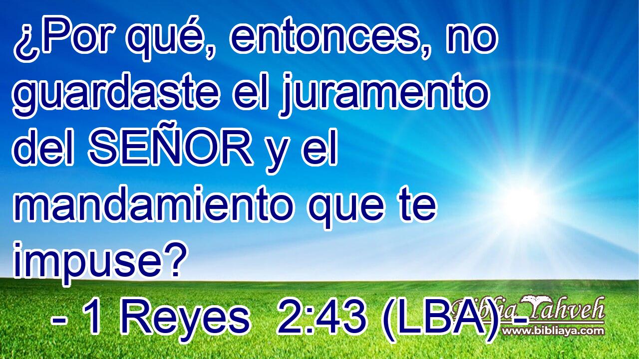 ¿Por qué, entonces, no guardaste el juramento del SEÑOR y el mandamiento que te impuse?