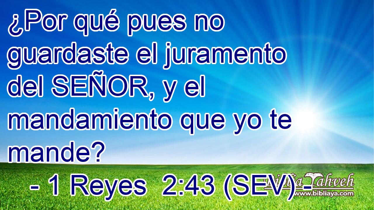 ¿Por qué pues no guardaste el juramento del SEÑOR, y el mandamiento que yo te mande?