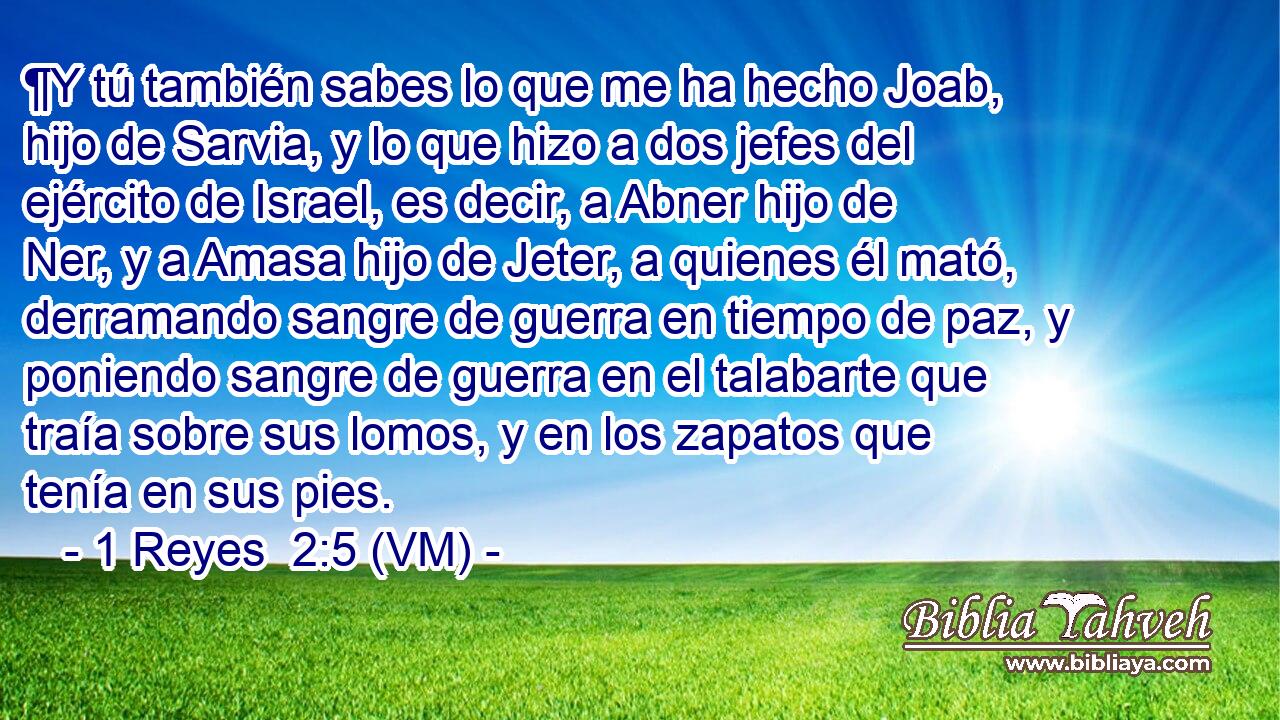  ¶Y tú también sabes lo que me ha hecho Joab, hijo de Sarvia, y lo que hizo a dos jefes del ejército de Israel, es decir, a Abner hijo de Ner, y a Amasa hijo de Jeter, a quienes él mató, derramando sangre de guerra en tiempo de paz, y poniendo sangre de guerra en el talabarte que traía sobre sus lomos, y en los zapatos que tenía en sus pies. 