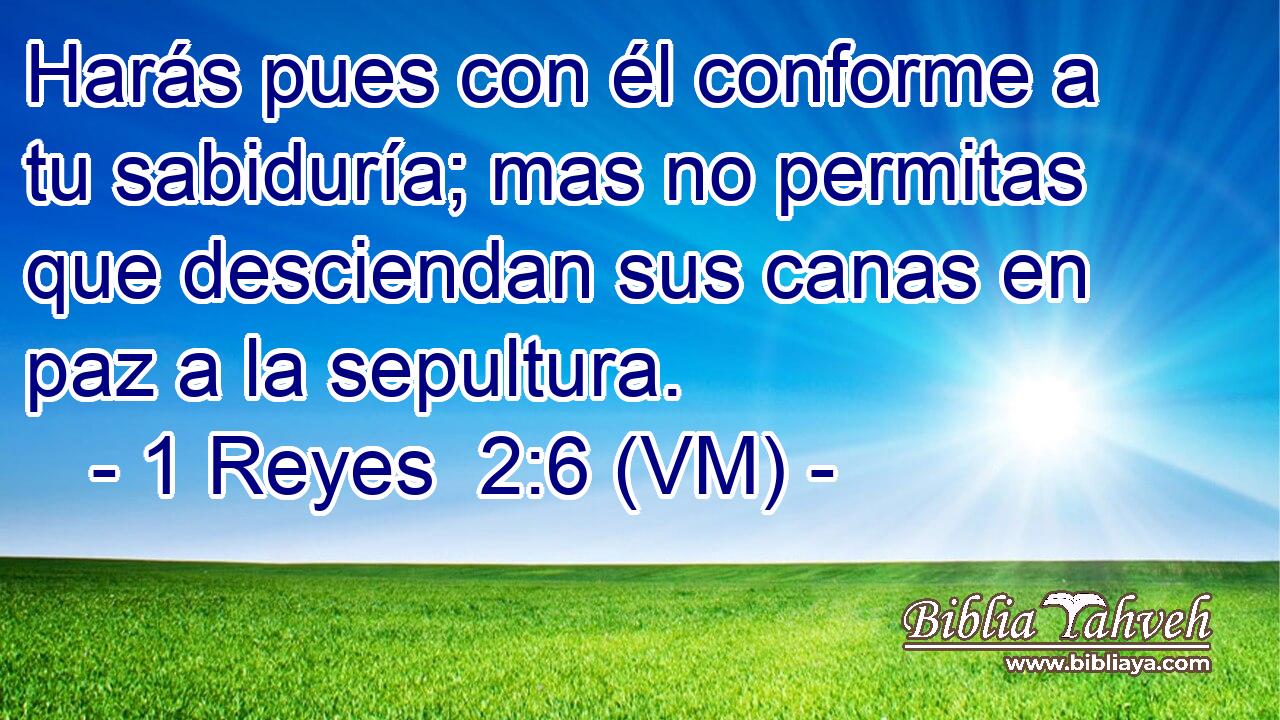  Harás pues con él conforme a tu sabiduría; mas no permitas que desciendan sus canas en paz a la sepultura. 