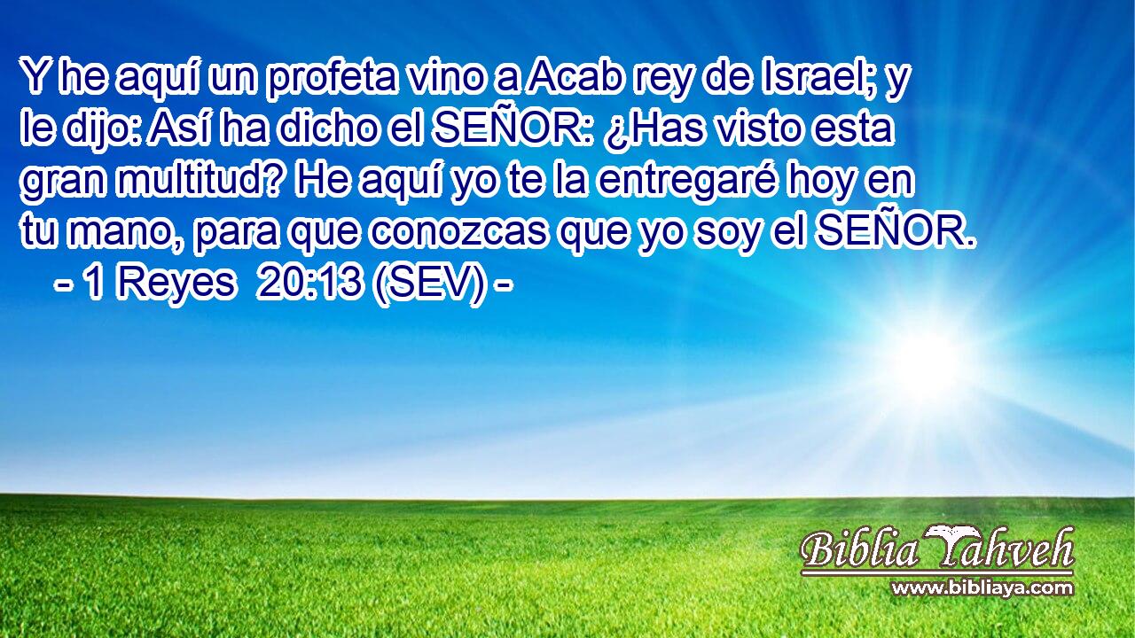 Y he aquí un profeta vino a Acab rey de Israel; y le dijo: Así ha dicho el SEÑOR: ¿Has visto esta gran multitud? He aquí yo te la entregaré hoy en tu mano, para que conozcas que yo soy el SEÑOR.