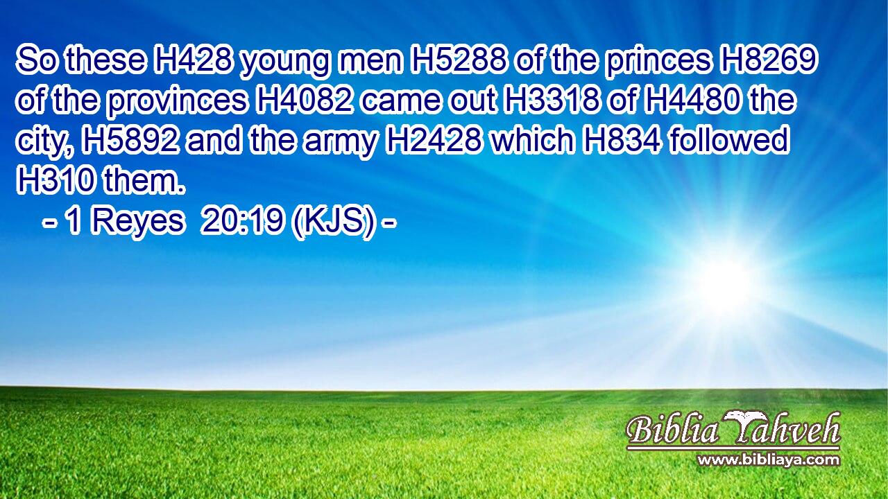 So these H428 young men H5288 of the princes H8269 of the provinces H4082 came out H3318 of H4480 the city, H5892 and the army H2428 which H834 followed H310 them.