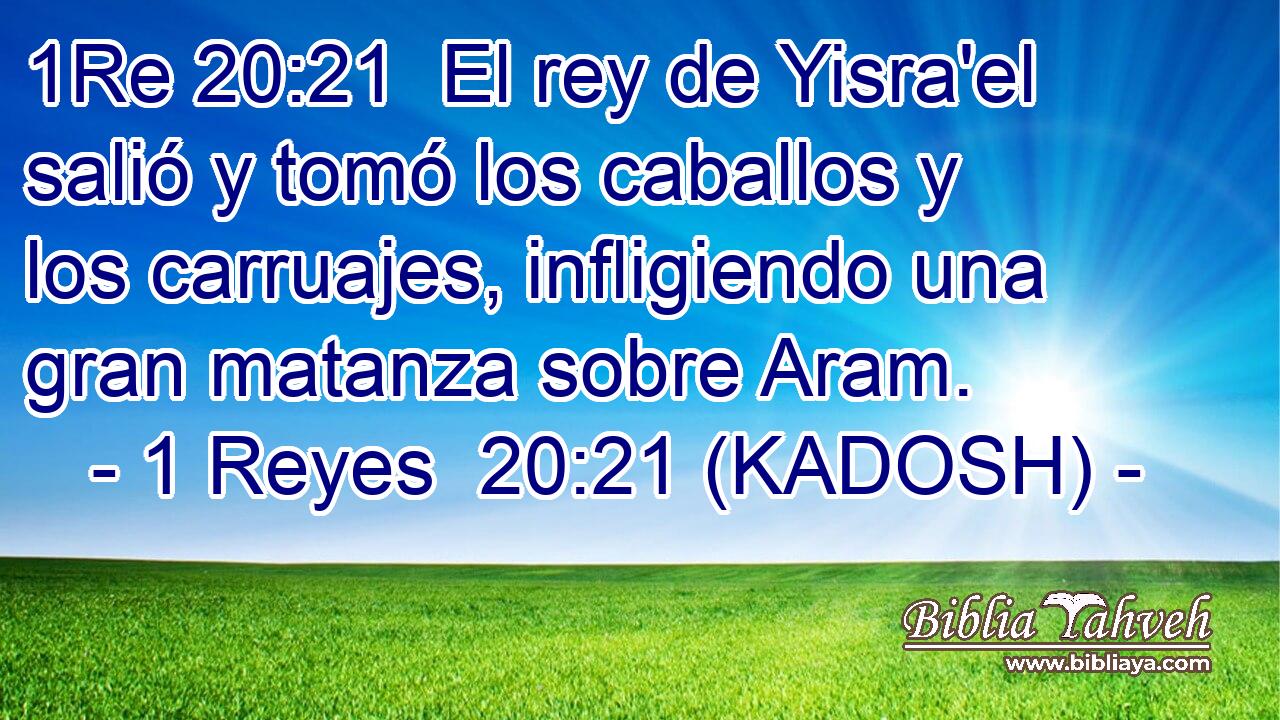  El rey de Yisra'el salió y tomó los caballos y los carruajes, infligiendo una gran matanza sobre Aram. 