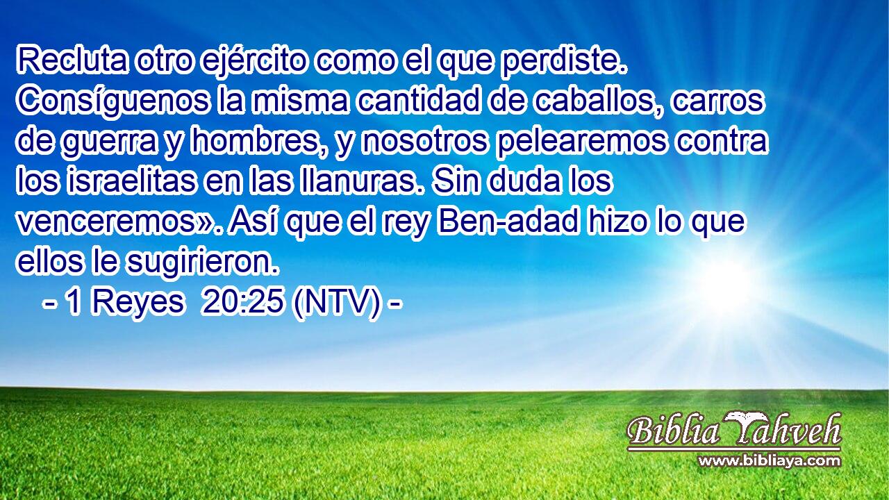 Recluta otro ejército como el que perdiste. Consíguenos la misma cantidad de caballos, carros de guerra y hombres, y nosotros pelearemos contra los israelitas en las llanuras. Sin duda los venceremos». Así que el rey Ben-adad hizo lo que ellos le sugirieron.