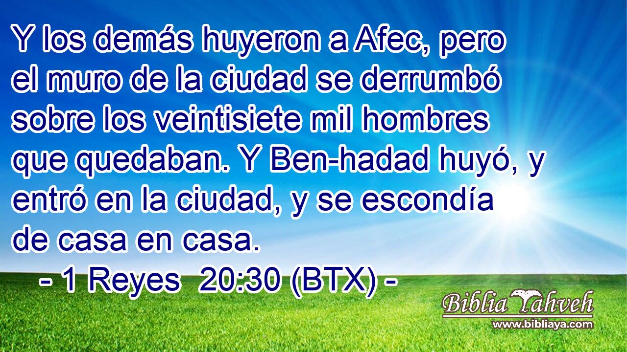 Y los demás huyeron a Afec, pero el muro de la ciudad se derrumbó sobre los veintisiete mil hombres que quedaban. Y Ben-hadad huyó, y entró en la ciudad, y se escondía de casa en casa.