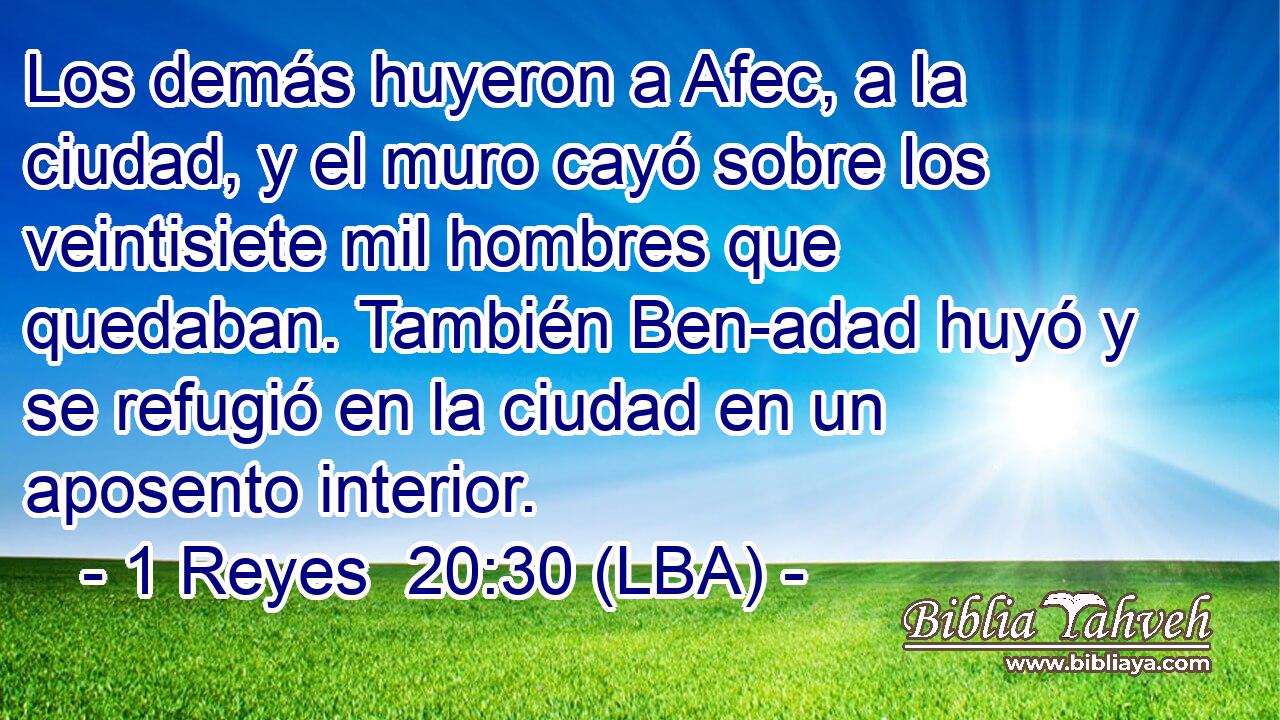Los demás huyeron a Afec, a la ciudad, y el muro cayó sobre los veintisiete mil hombres que quedaban. También Ben-adad huyó y se refugió en la ciudad en un aposento interior.