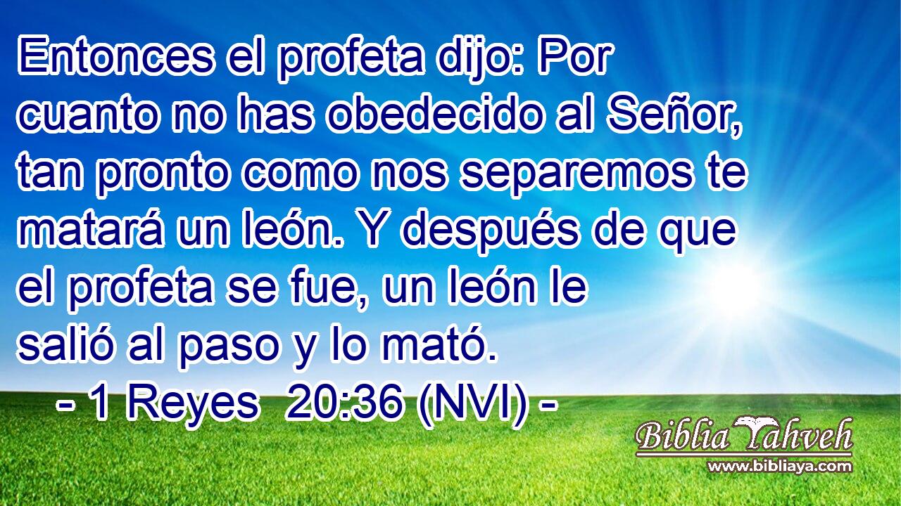  Entonces el profeta dijo: Por cuanto no has obedecido al Señor, tan pronto como nos separemos te matará un león. Y después de que el profeta se fue, un león le salió al paso y lo mató. 