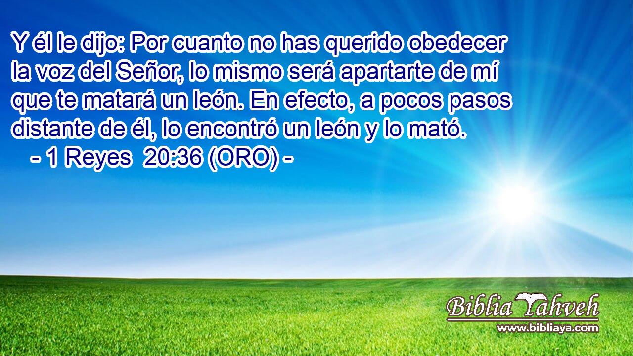  Y él le dijo: Por cuanto no has querido obedecer la voz del Señor, lo mismo será apartarte de mí que te matará un león. En efecto, a pocos pasos distante de él, lo encontró un león y lo mató. 